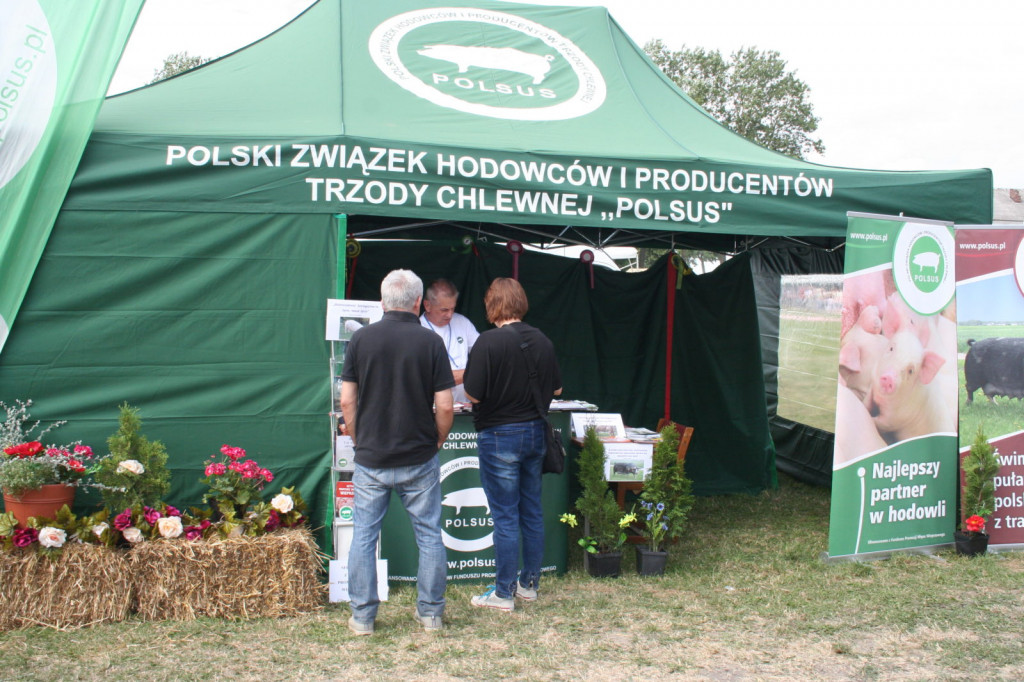 XXXIII Wystawa Zwierząt Hodowlanych, Maszyn i Urządzeń Rolniczych w Sitnie [ZDJĘCIA]