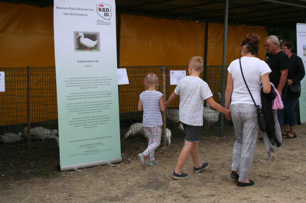 XXXIII Wystawa Zwierząt Hodowlanych, Maszyn i Urządzeń Rolniczych w Sitnie [ZDJĘCIA]