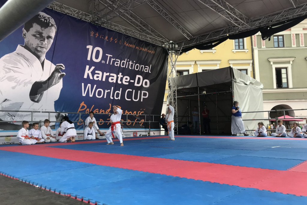 Karate na Rynku Wielkim w Zamościu [ZDJĘCIA]