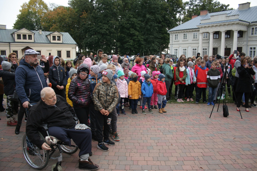 Hospicjum Santa Galla sadzi żonkile