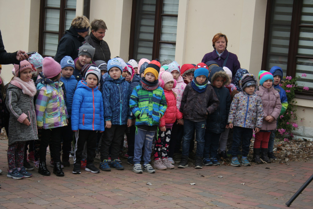 Hospicjum Santa Galla sadzi żonkile