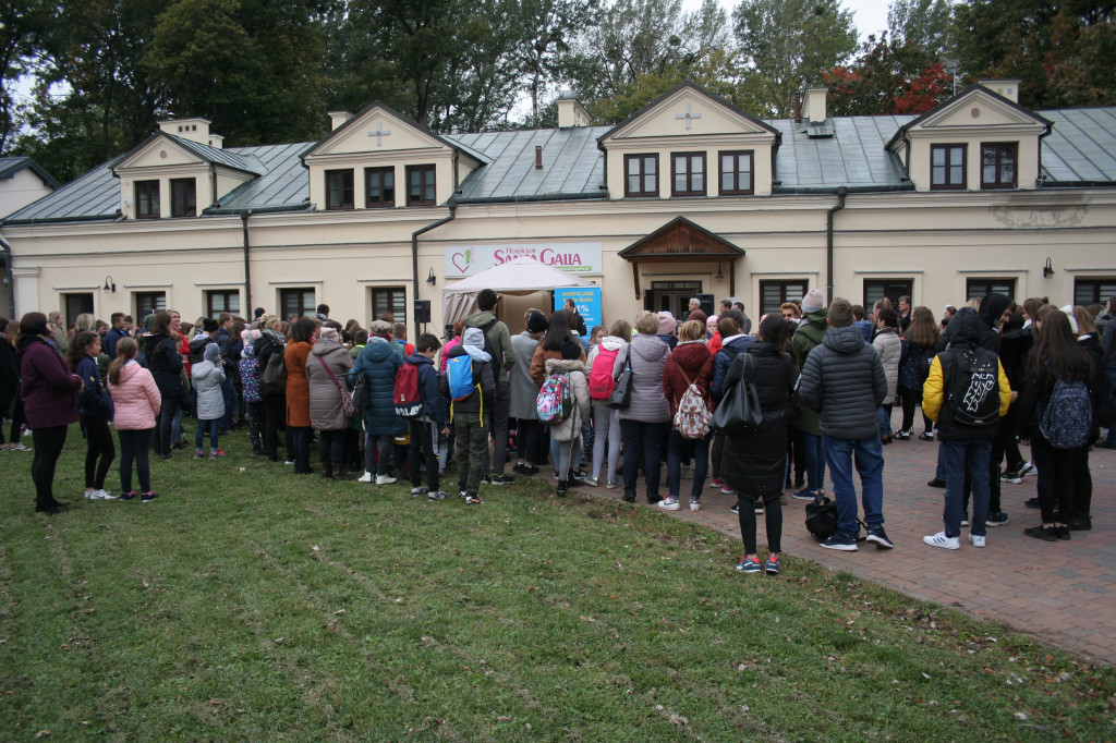 Hospicjum Santa Galla sadzi żonkile