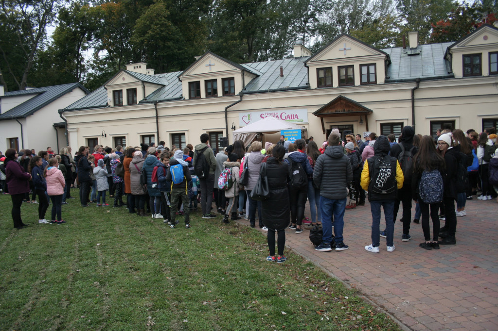 Hospicjum Santa Galla sadzi żonkile