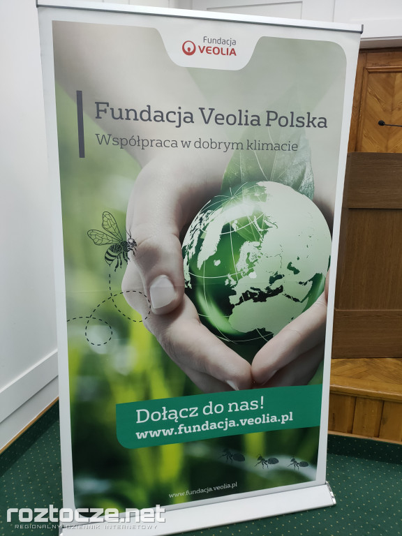 Gra o Zielony Zamość on-line