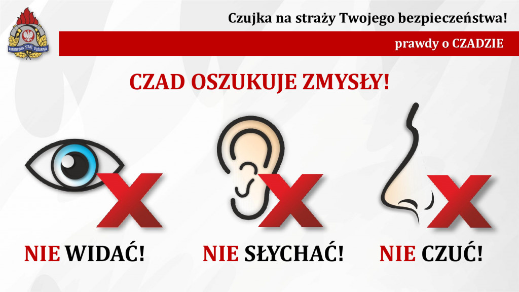 Czujka na straży Twojego bezpieczeństwa!