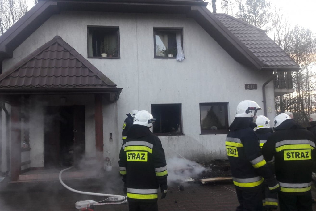DRUGIE ŻYCIE KOTÓW
