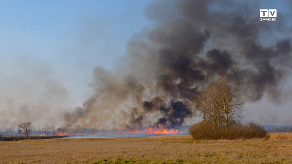 Pożar 150 ha suchych traw