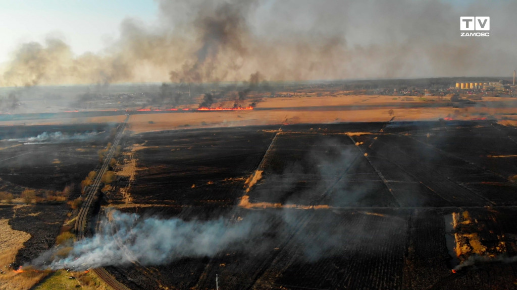 Pożar 150 ha suchych traw