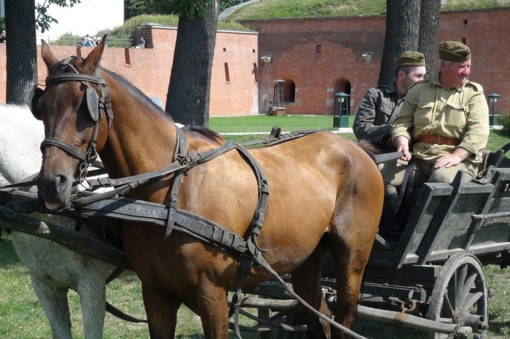 Pogonili bolszewików! [video]