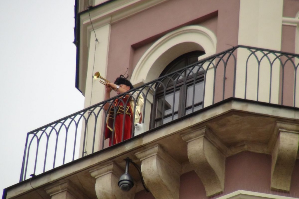 Zamościanie czytają 