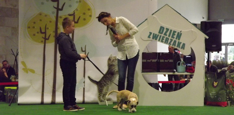 Dzień Zwierzaka w Galerii Twierdza (2017), foto: Oliwia Bojar