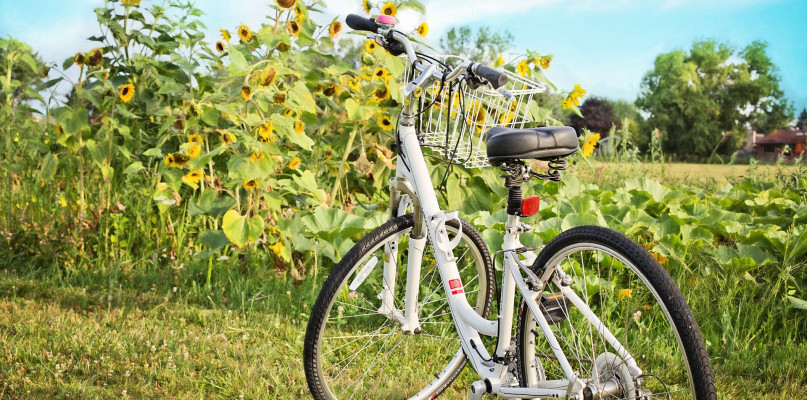 Rowerem przez Roztocze