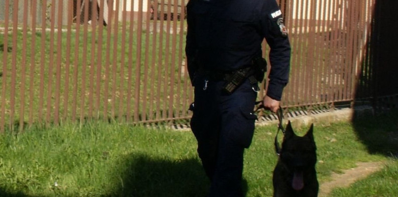 Fot. Policja