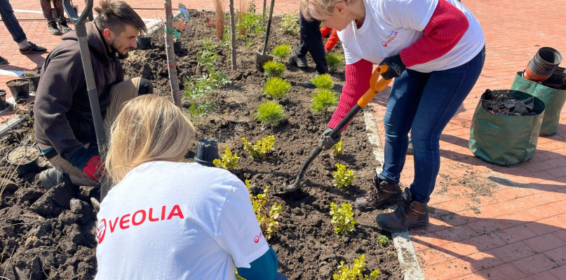 Akcja nasadzeń w Zamościu z okazji 25-lecia Veolii w Polsce
