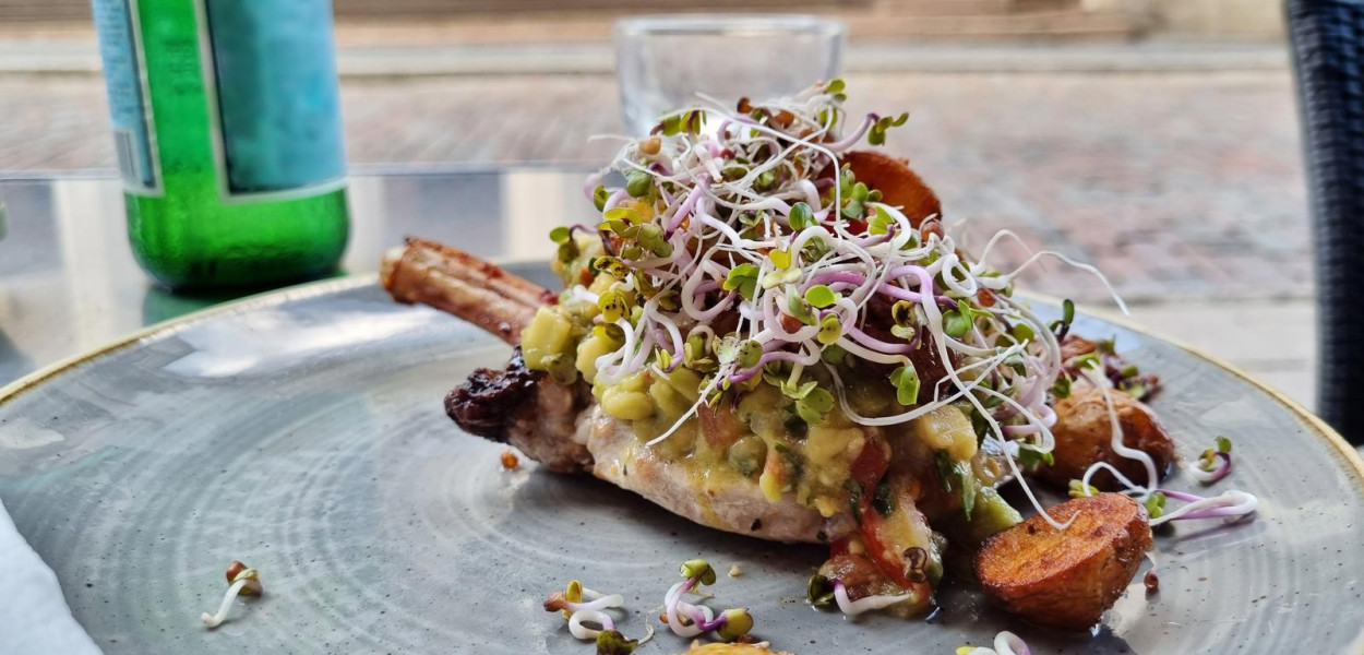 Najlepsze kiełkownice dla amatorów świeżych kiełków