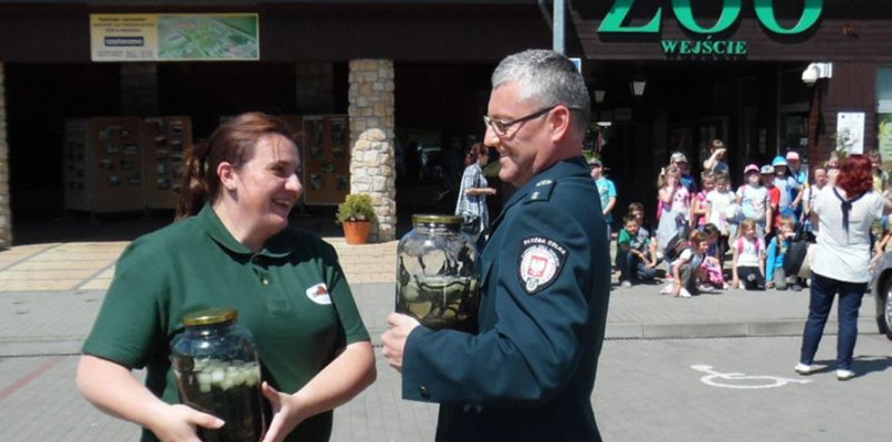 Pijawki z przemytu trafiły do zamojskiego ZOO, foto: Izba Celna w Przemyślu