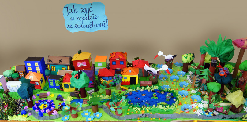 fot.janusz zimon