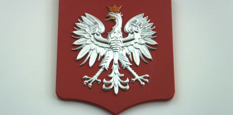 Srebrzysty Orzeł