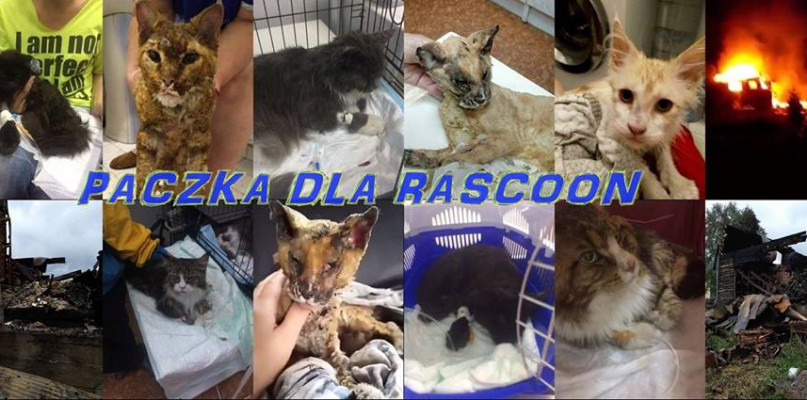 baner wydarzenia na Facebooku 