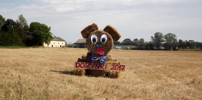 Instalacja dożynkowa w  Dębowcu - Dożynki w Skierbieszowie 2017, foto: Oliwia Bojar
