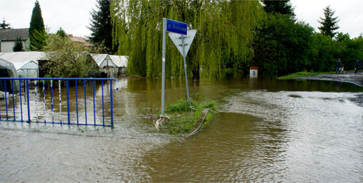 fot. Piotr Rogalski