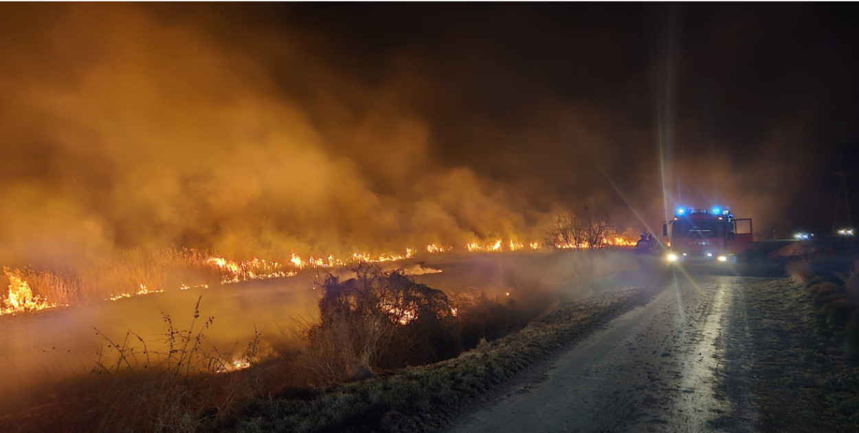 foto: Komenda Miejska Państwowej Straży Pożarnej w Zamościu