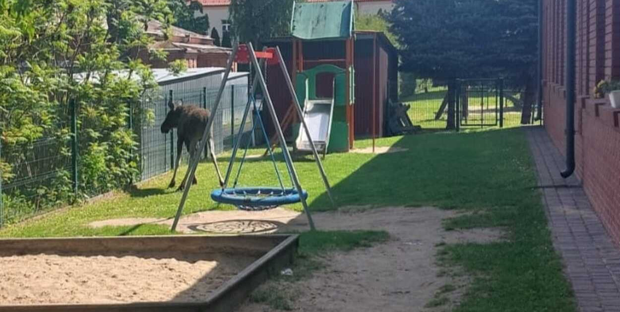 Fot. KM PSP w Zamościu