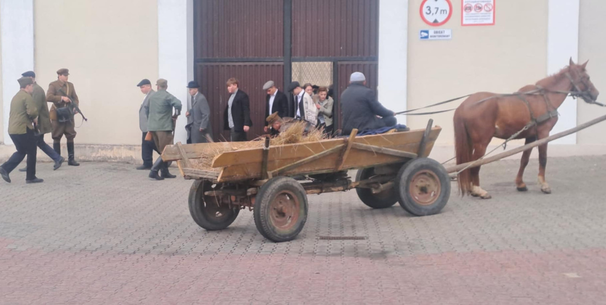 Materiał organizatora