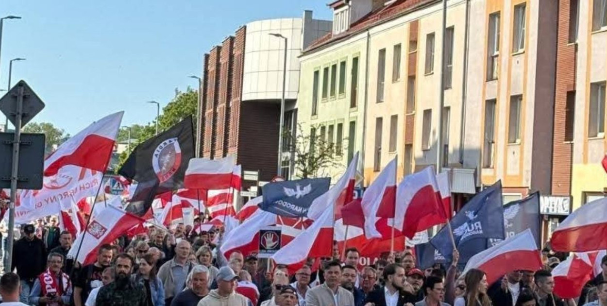 foto. materiał organizatora