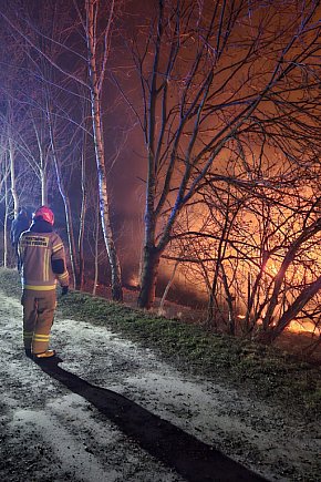 STOP pożarom traw. Apelują zamojscy strażacy-5612