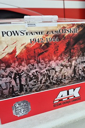 Akcja krwi w hołdzie Powstańcom Zamojskim-5717