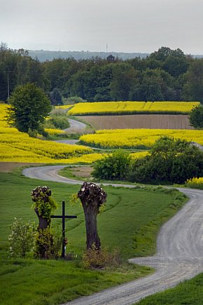 Galeria Pozytyw MDK. Inspirowane wiosną-5831