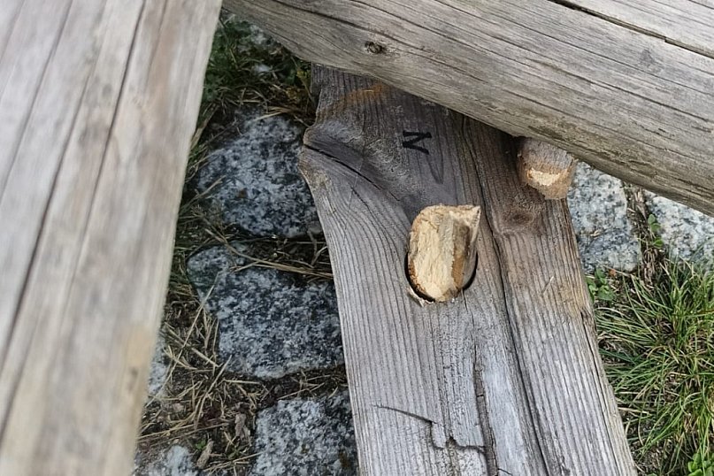 Wandal w zamojskiej Wartowni