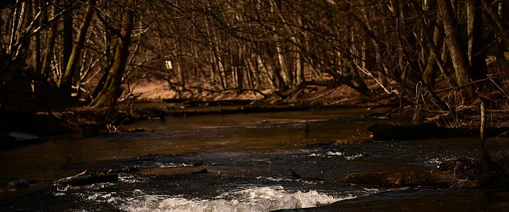 roztocze.net na Facebooku