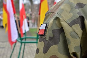 Wojsko zaprasza Polaków. Zacznie się w maju, skończy się w lipcu-357971