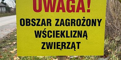 W Lubelskiem rośnie liczba zakażeń wścieklizną-360589