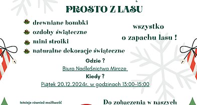 Nadleśnictwo Mircze szkoli świątecznie-361058