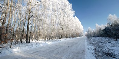 IMGW ostrzega! Bardzo ślisko na Roztoczu-361354