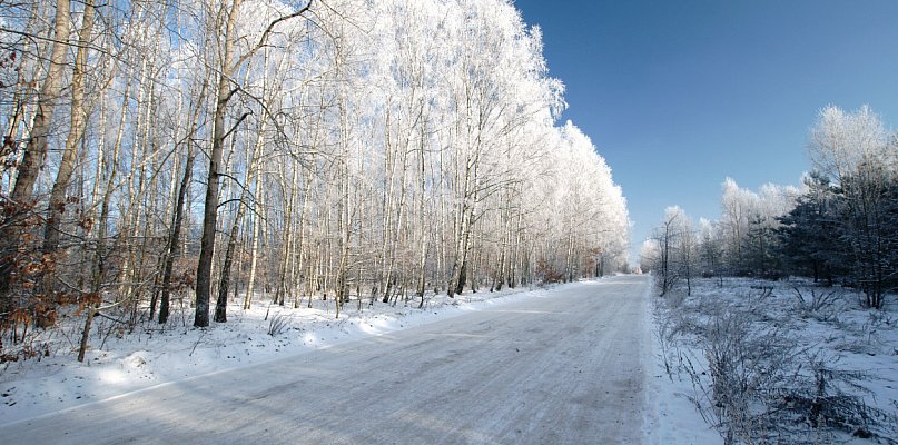 IMGW ostrzega! Bardzo ślisko na Roztoczu - 361354