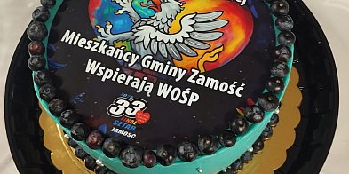 Lubelscy siatkarze zagrali dla WOŚP-361786