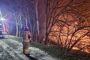 STOP pożarom traw - apelują zamojscy strażacy-362510