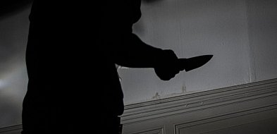 30 lat więzienia za podwójne zabójstwo i ucieczkę ze szpitala -363879