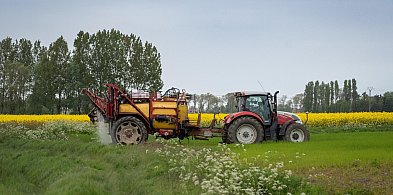 Zmiany w urzędach pracy. Ta grupa rolników zyska nowe prawa-364289