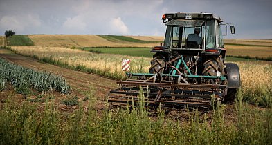 Branża rolno-spożywcza zadłużona na prawie 761 mln zł-364501