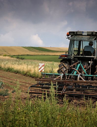 Branża rolno-spożywcza zadłużona na prawie 761 mln zł-364501