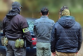12 osób odpowie za organizację nielegalnej migracji-364574