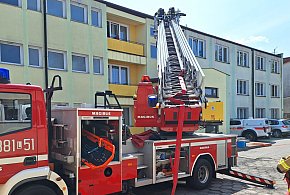 Zamojscy strażacy po ćwiczeniach -364579