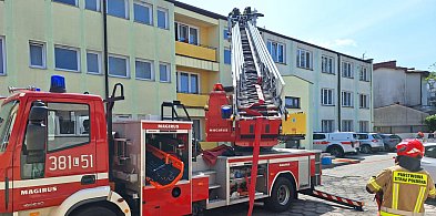 Zamojscy strażacy po ćwiczeniach -364579