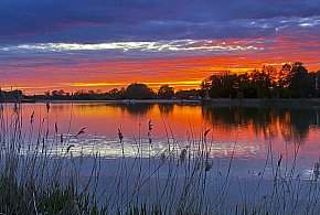 Inspirowane wiosną - wystawa Galerii Pozytyw -364675