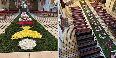 Tradycyjny dywan kwiatowy gotowy na Boże Ciało w Goraju-364687